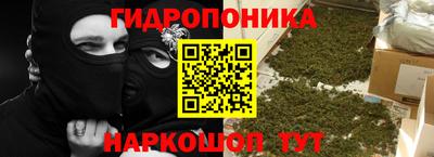 индика Нягань