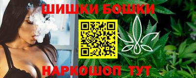 индика Нягань