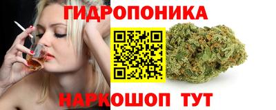 индика Нягань