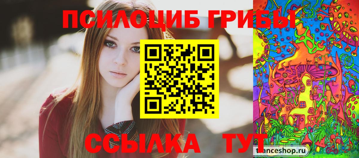 Псилоцибиновые грибы Cubensis Алейск