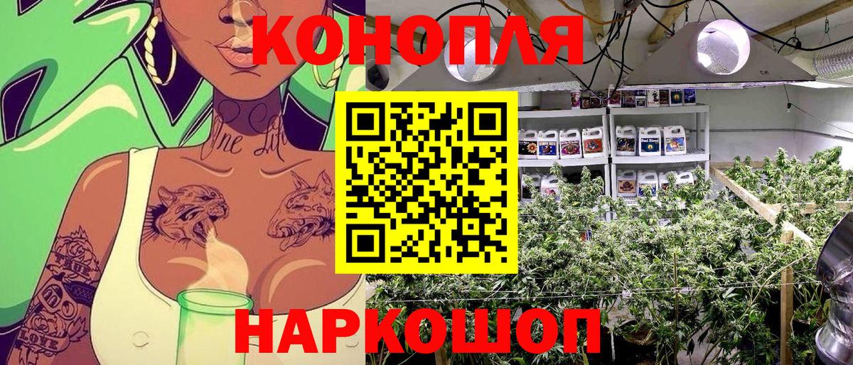 Конопля Bruce Banner Алейск